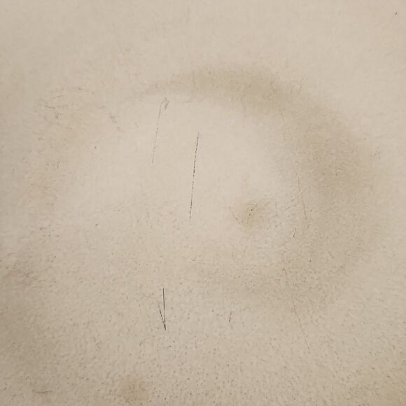 Pier 1 Imports Wave Salad Plate 8 3/8" Plate Set of 2 - Picture 8 of 8